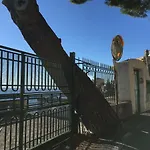Petit Ludovica Ravello