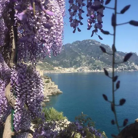Petit Ludovica * Ravello