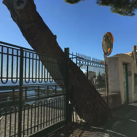 Petit Ludovica Ravello