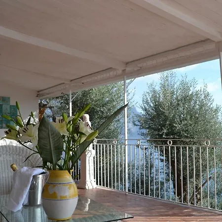 Petit Ludovica * Ravello